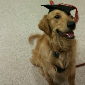 Meet your Posher, Barbara